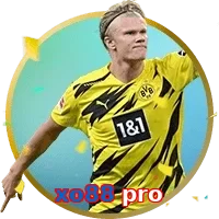 xo88 pro
