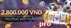 xo88 pro