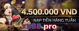 xo88 pro