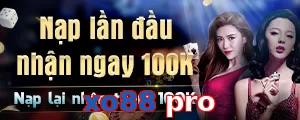 xo88 pro