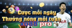 xo88 pro